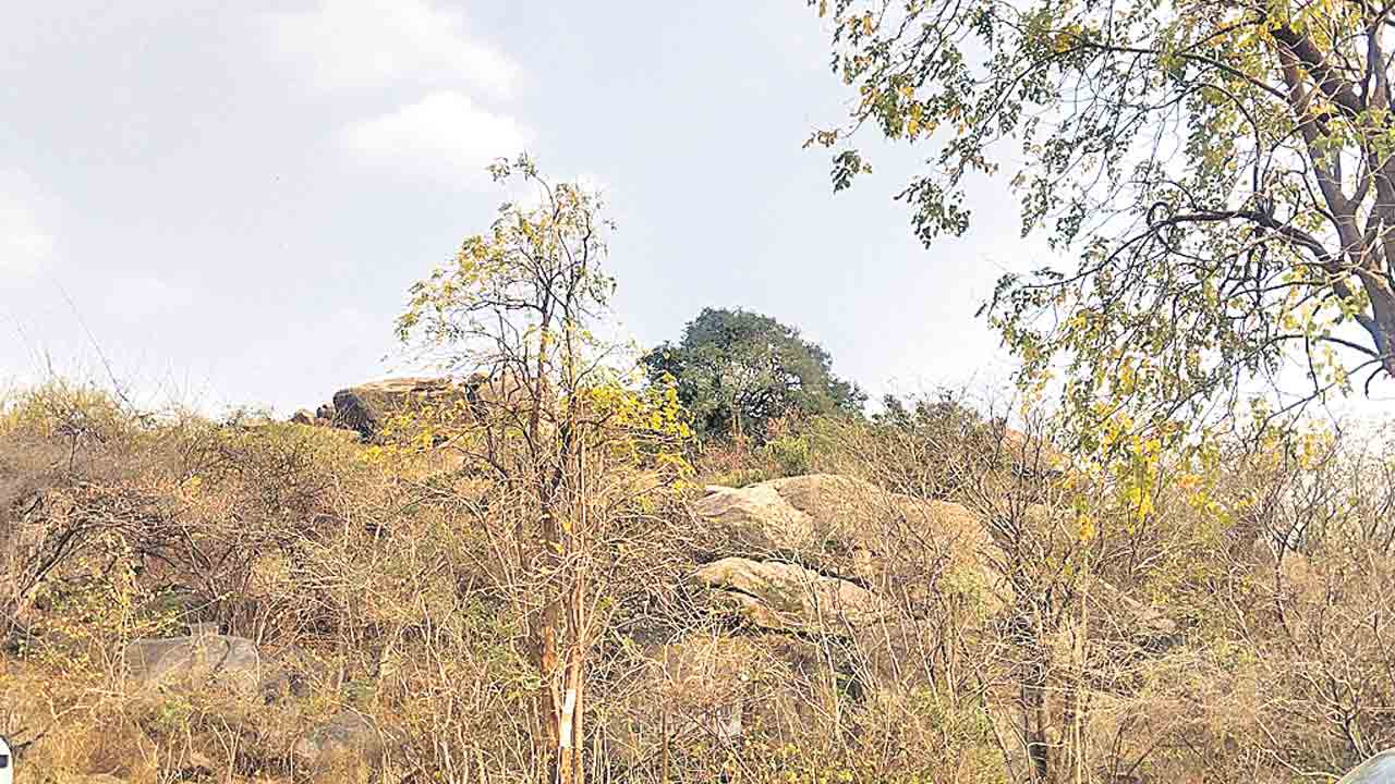 కోహెడ మార్కెట్‌పై సర్కార్‌ పంజా!.. పండ్ల మార్కెట్‌ తరలింపునకు ప్రభుత్వం నిర్ణయం