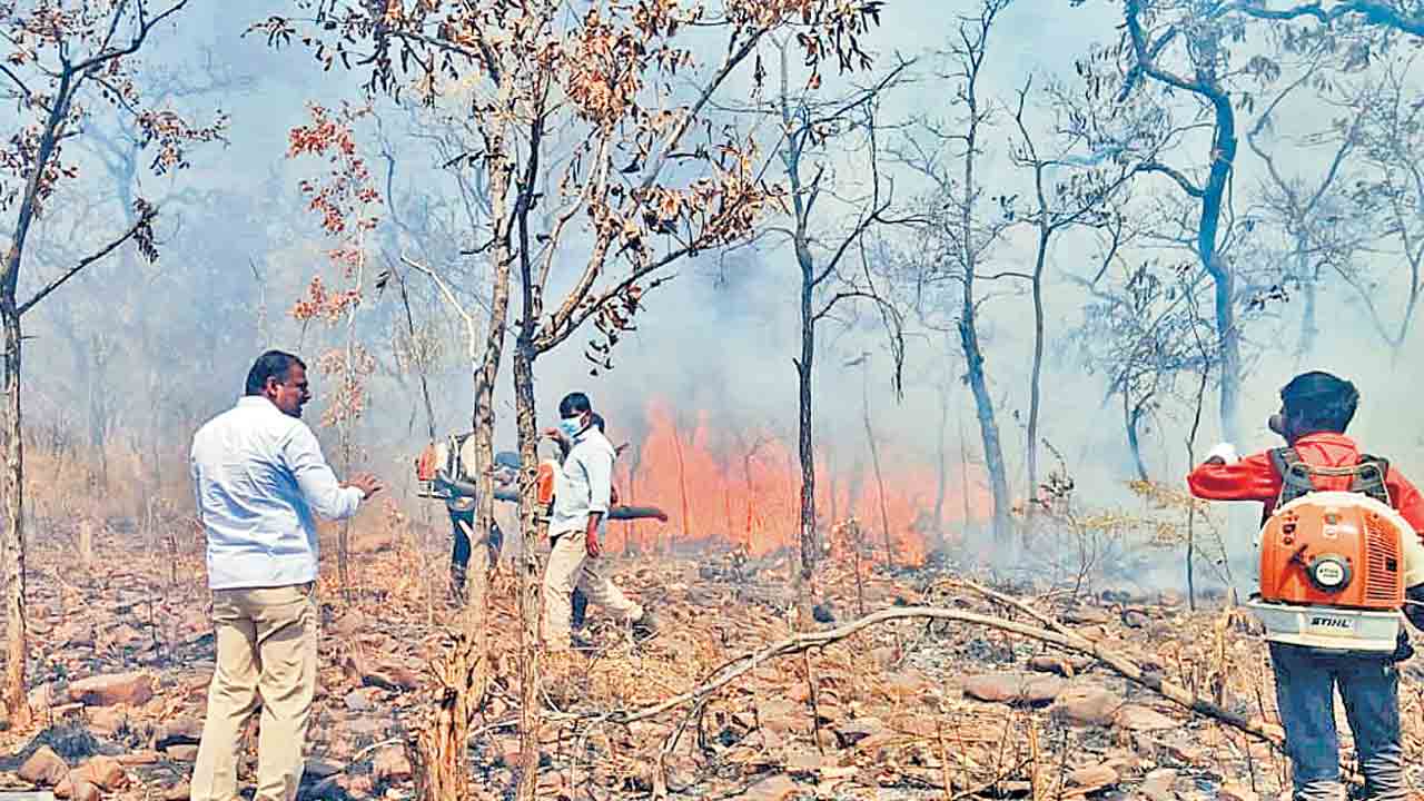 నల్లమలలో కార్చిచ్చు.. 30 హెక్టార్లలో వ్యాపించిన మంటలు