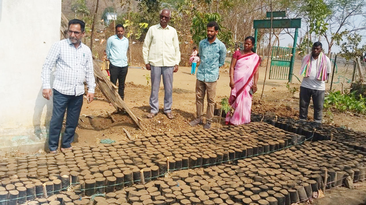MPDO | నర్సరీలో నాటిన మొక్కలను సంరక్షించాలి : ఎంపీడీవో