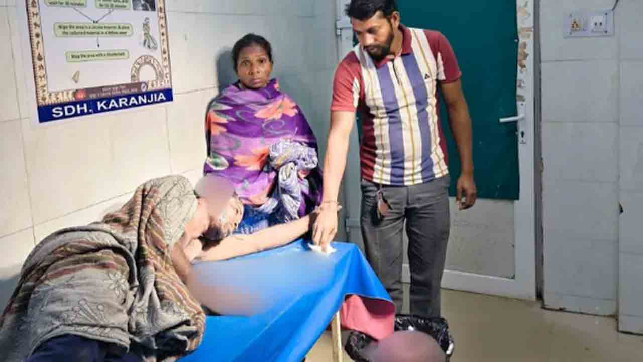 Woman Fights Off Bear | ఎలుగుబంటితో పోరాడి.. భర్తను కాపాడిన భార్య