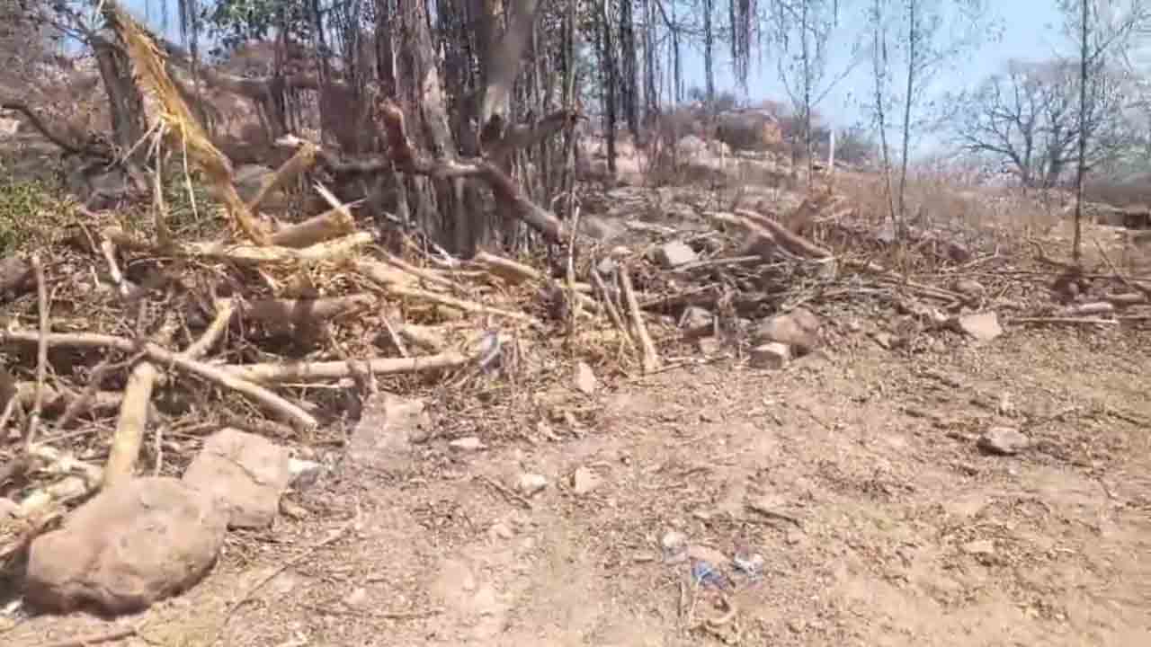 Palle Prakruthi Vanam | కాంగ్రెస్ సర్పంచ్‌ నిర్వాకం.. పల్లె ప్రకృతి వనం ధ్వంసం