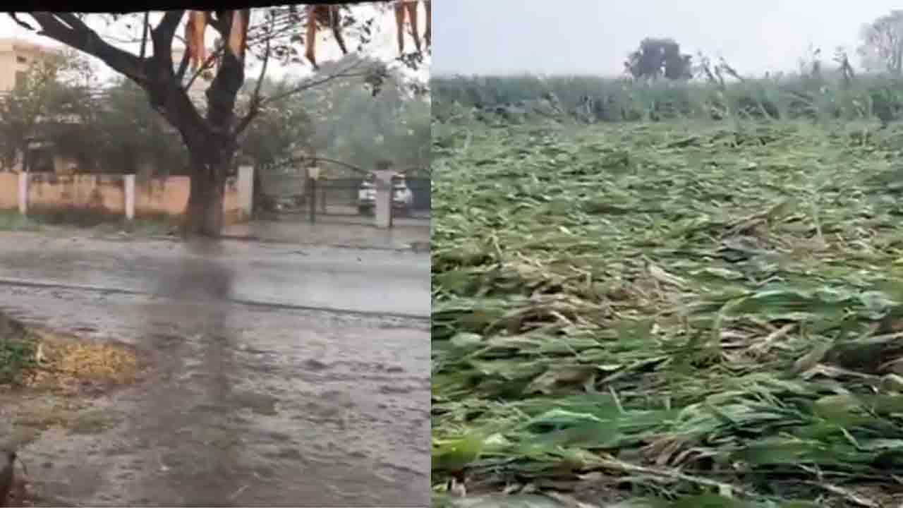 Rains | చల్లబడ్డ వాతావరణం.. హైదరాబాద్‌ సహా పలు జిల్లాల్లో వర్షం