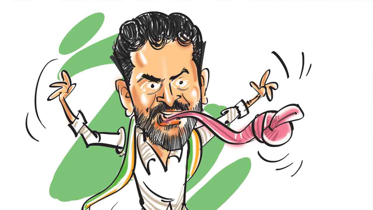 మాట జారి..నాలుక మడతేసి