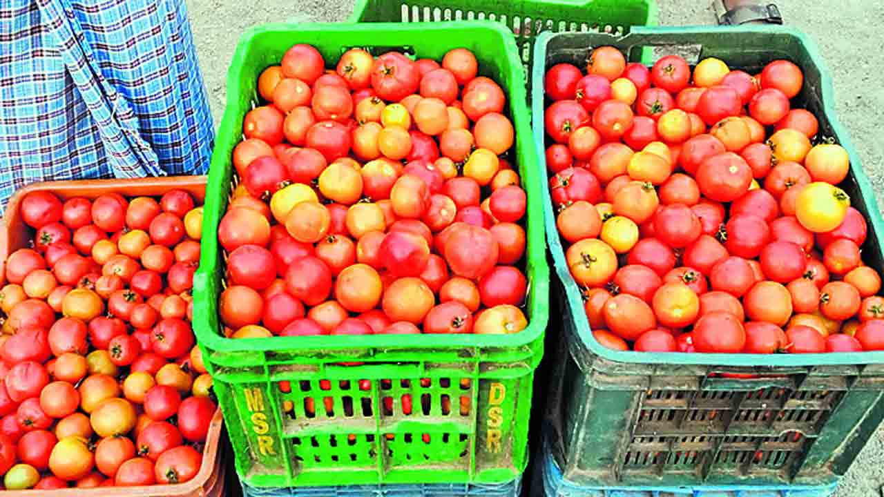 కష్టాల్లో టమాట రైతులు