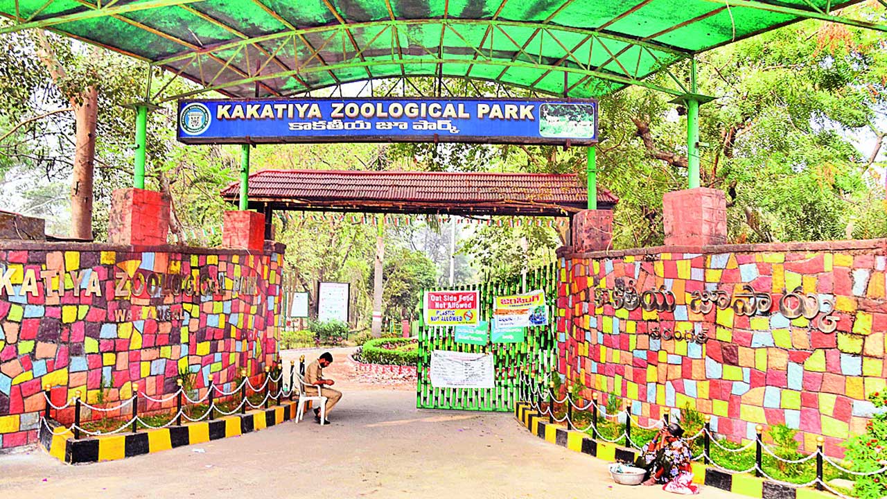 వన్య ప్రాణుల రోదన