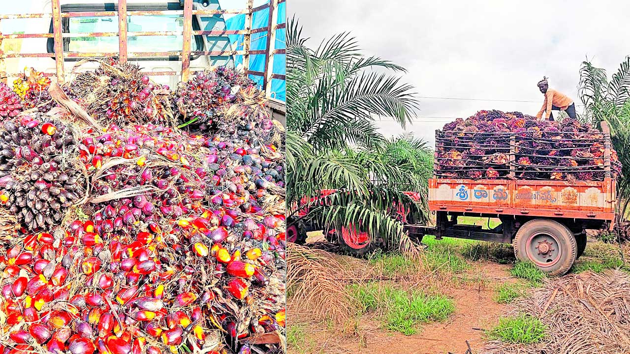 నాటి కృషి నేటిఫలం
