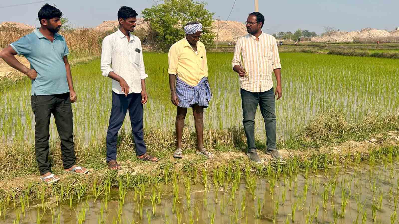 Weed killer | కలుపు మందు వాడేటప్పుడు రైతులు తీసుకోవాల్సిన జాగ్రత్తలు ఇవే