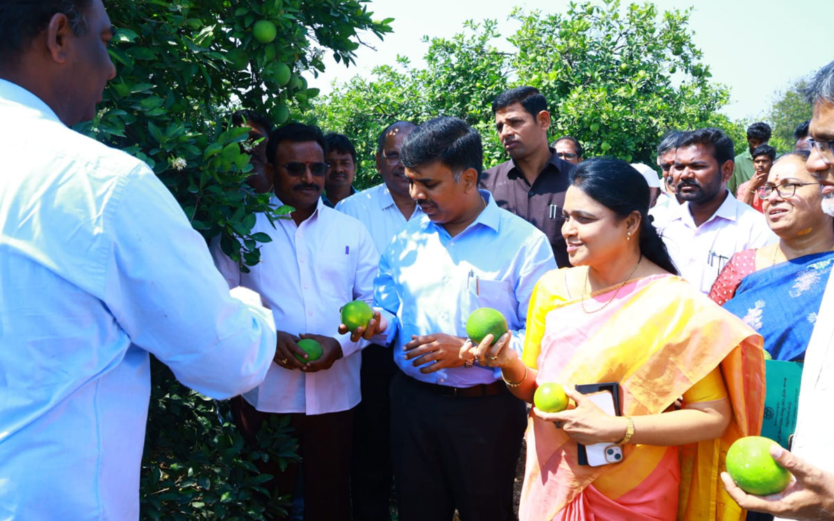 'బత్తాయి రైతుల సమస్యల పరిష్కారానికి కృషి'