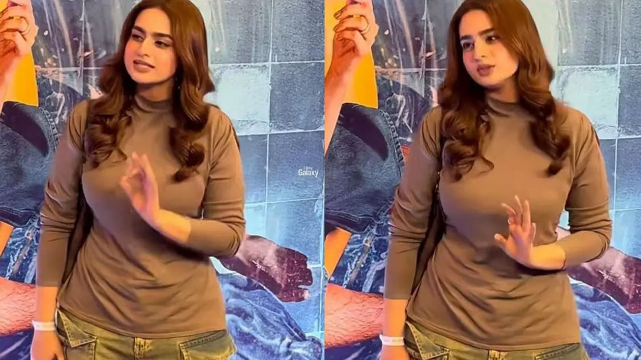 Ayesha Khan | రెడ్ కార్పెట్‌పై ఫోటోగ్రాఫర్‌కు వార్నింగ్ ఇచ్చిన ఆయేషా ఖాన్ .. వెన‌క నుండి పిక్స్ తీయోద్దు..