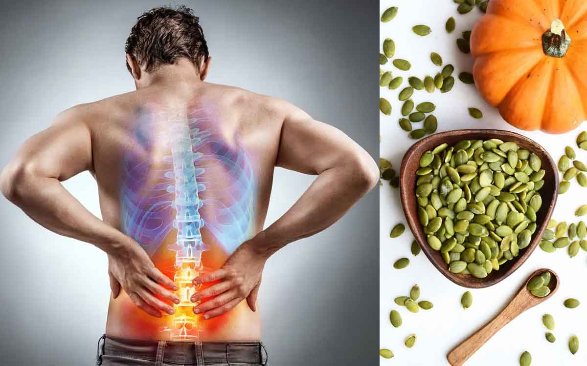 Pumpkin Seeds | వెన్ను నొప్పితో బాధ‌ప‌డుతున్నారా.. అయితే గుమ్మ‌డి గింజ‌ల‌ను రోజూ తినండి..