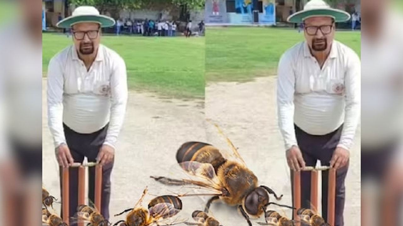 Bee Attack: తేన‌టీగ‌ల దాడిలో క్రికెట్ అంపైర్ మృతి.. 20 మంది ప్లేయ‌ర్ల‌కు గాయాలు