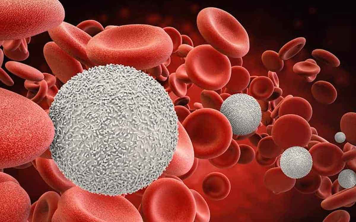 Blood Cancer Symptoms | ఈ ల‌క్ష‌ణాలు క‌నిపిస్తున్నాయా.. అయితే బ్ల‌డ్ క్యాన్స‌ర్ ఉన్న‌ట్లే..