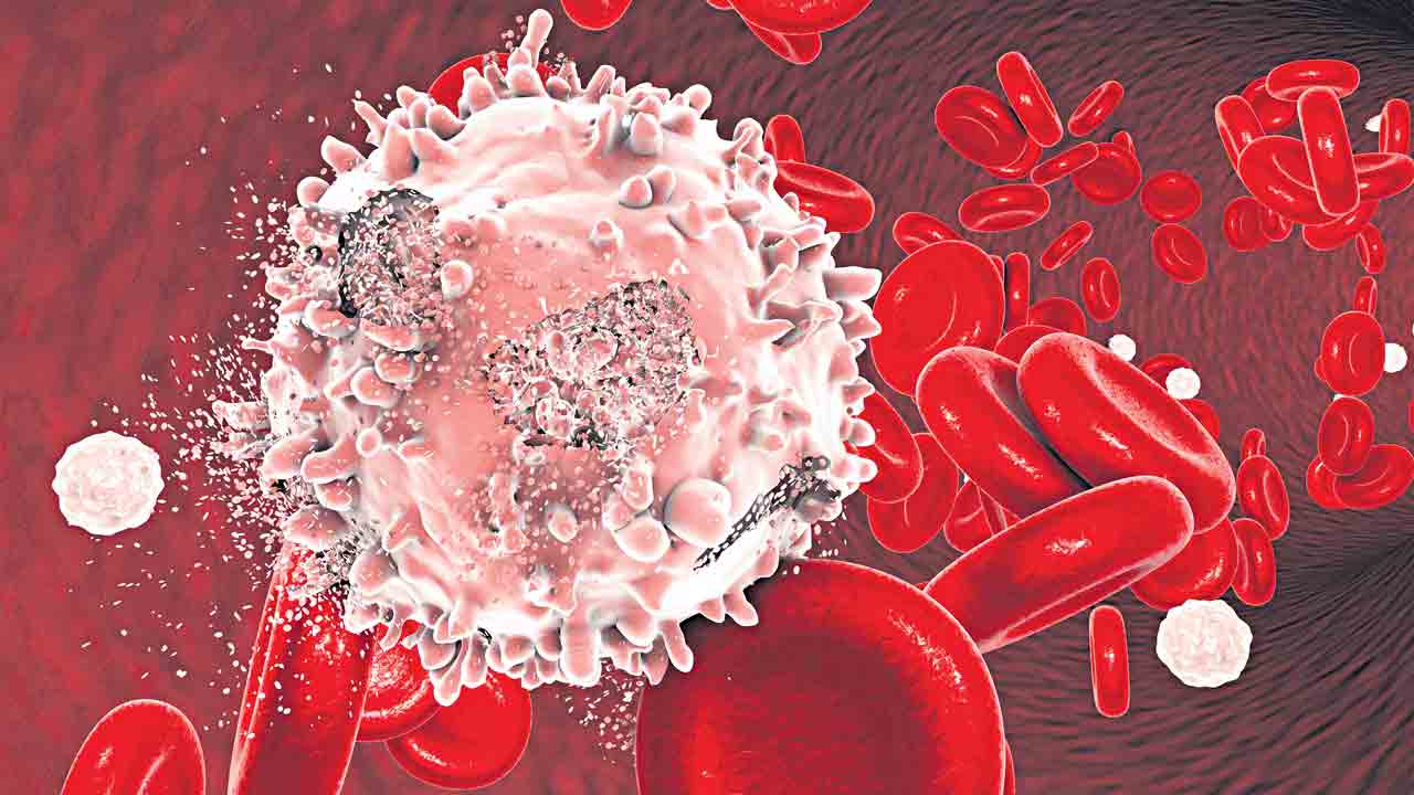 తిరగబడితే.. తిప్పికొడదాం