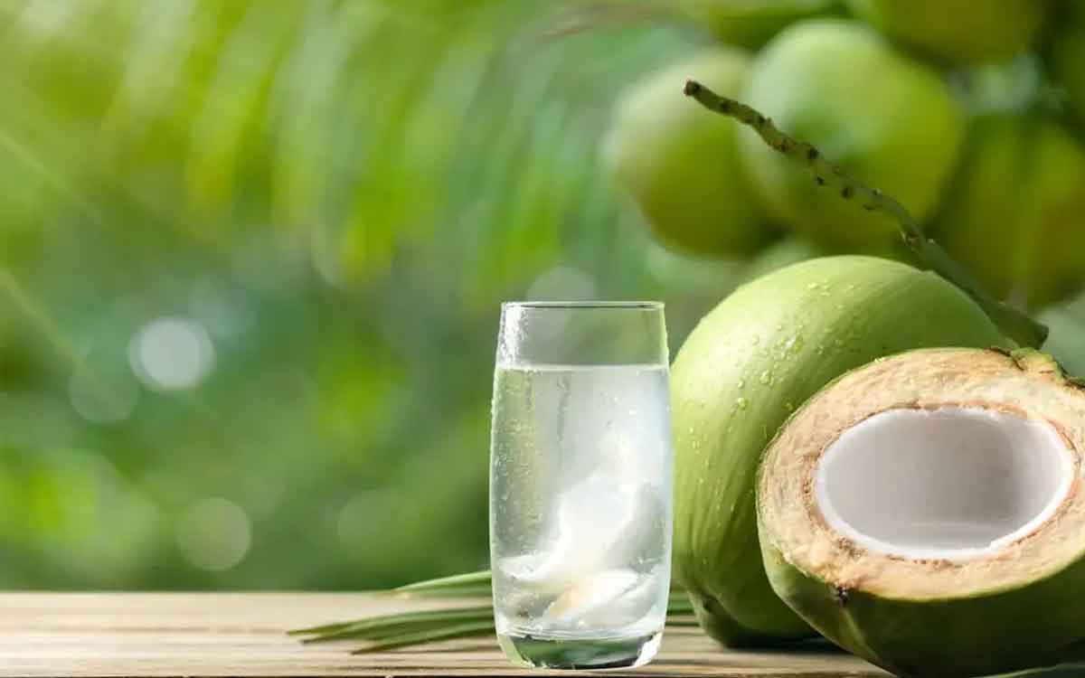 Coconut Water | రోజూ ప‌ర‌గ‌డుపునే 30 రోజుల పాటు కొబ్బ‌రినీళ్ల‌ను తాగితే క‌లిగే లాభాలు ఇవే..!