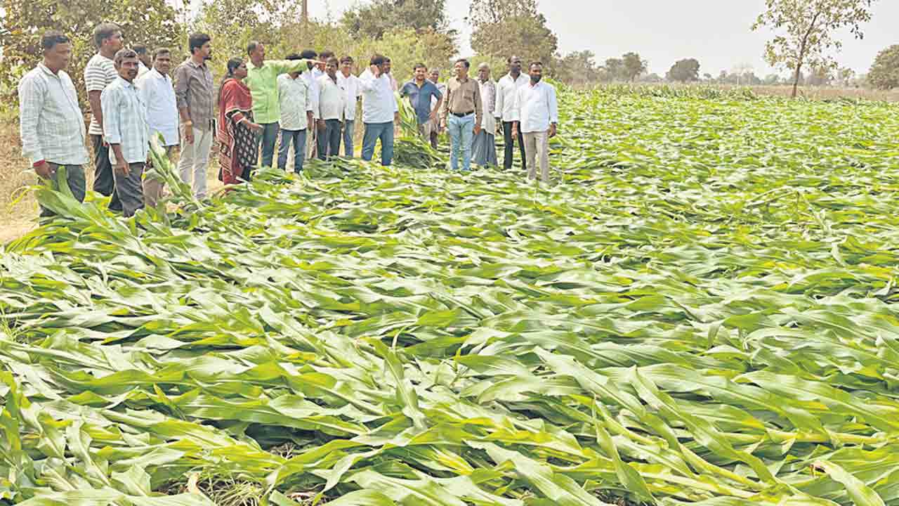 రైతులు అధైర్యపడొద్దు