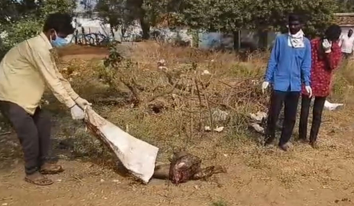 Kamareddy | కామారెడ్డిలో చెత్త కుప్పలో గుర్తుతెలియని అరమృతదేహం లభ్యం