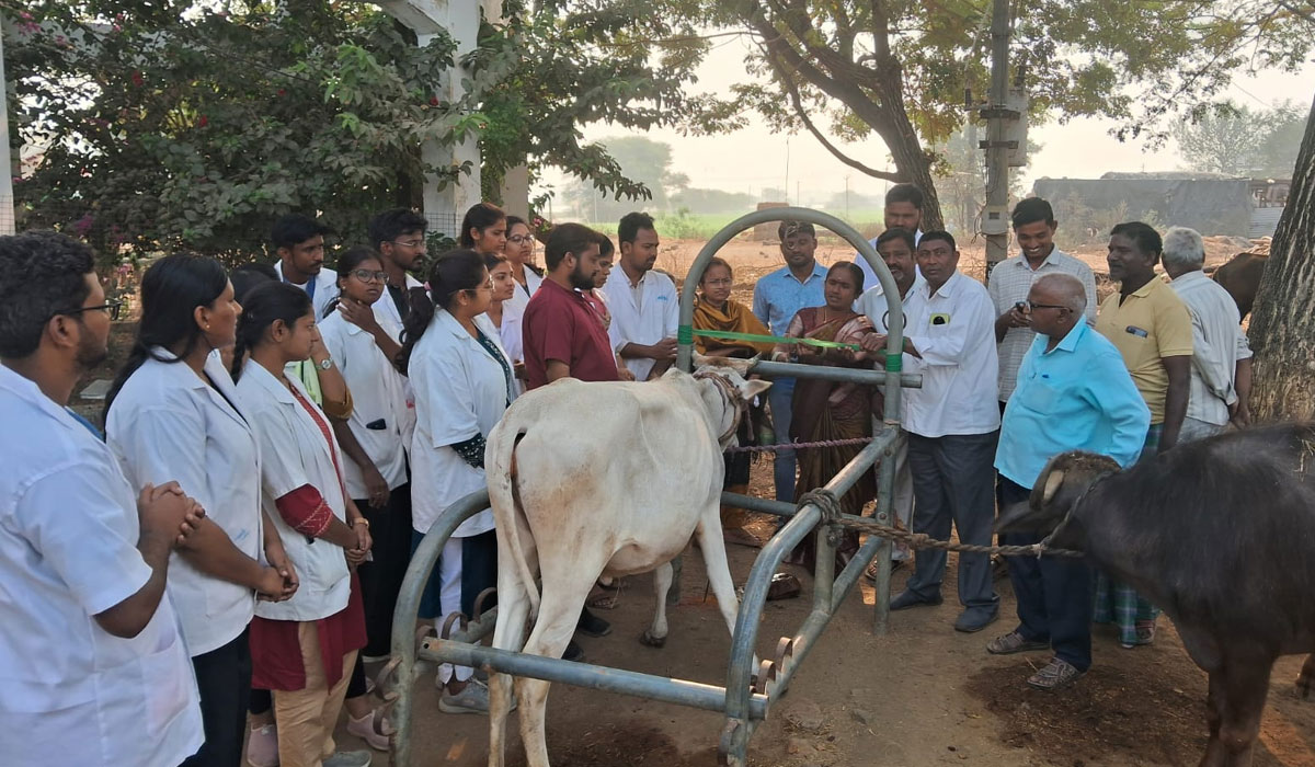 Dharmaram | పీవీ నరసింహారావు వెటర్నరీ యూనివర్సిటీ ఆధ్వర్యంలో రామయ్య పల్లెలో ఉచిత మెగా వైద్య శిబిరం