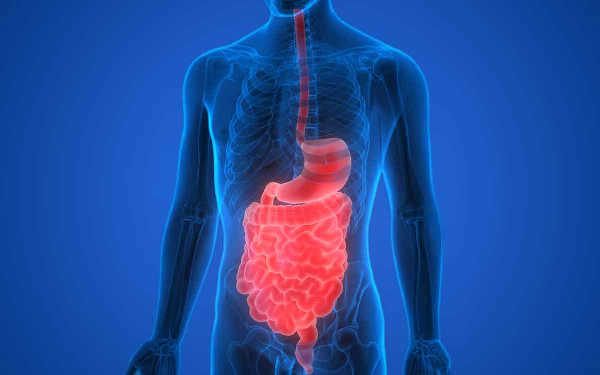 Digestive Health | గ్యాస్, అజీర్తి, మ‌ల‌బద్ద‌కం.. అన్నింటికీ ఒకేసారి చెక్ పెట్టాలంటే.. ఇలా చేయండి..!