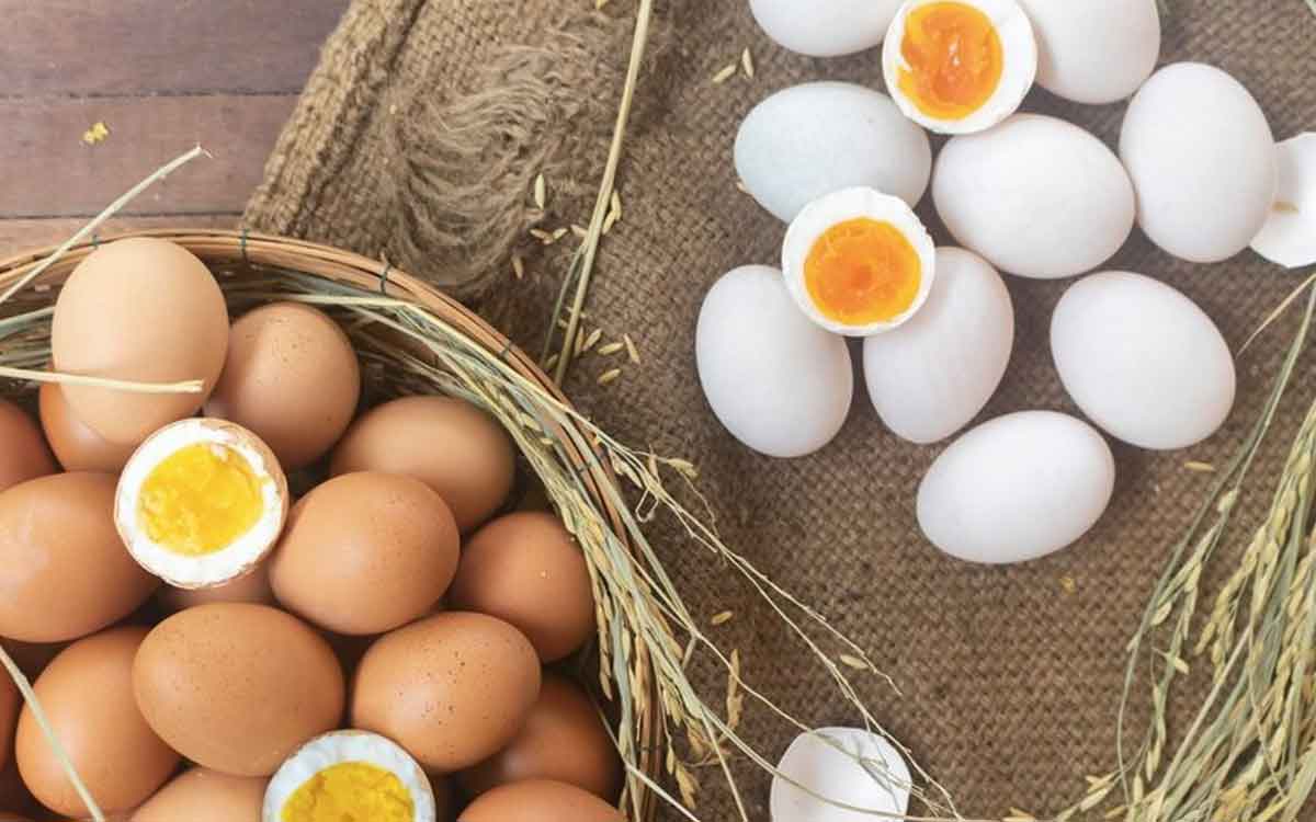 Brown Vs White Eggs | గోధుమ రంగు వ‌ర్సెస్ తెలుపు రంగు.. ఈ రెండింటిలో ఏ గుడ్ల‌లో పోష‌కాలు ఎక్కువ‌..?