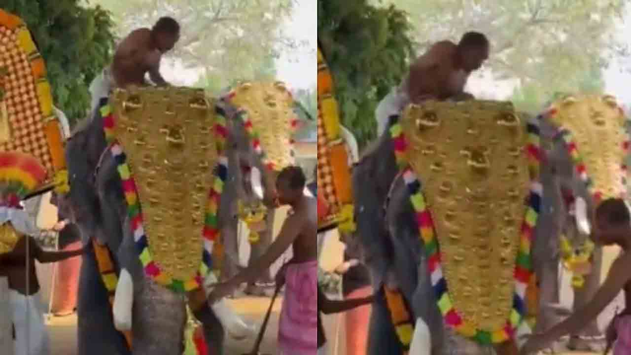 Watch: ఆలయ ఉత్సవంలో ఏనుగు అలజడి.. వ్యక్తిపై తొండంతో దాడి