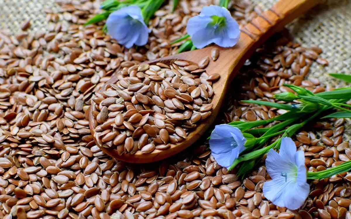 Flax Seeds | అవిసె గింజ‌ల‌ను 30 రోజుల పాటు తిని చూడండి.. శ‌రీరంలో ఎలాంటి మార్పులు వ‌స్తాయో గ‌మ‌నించండి..