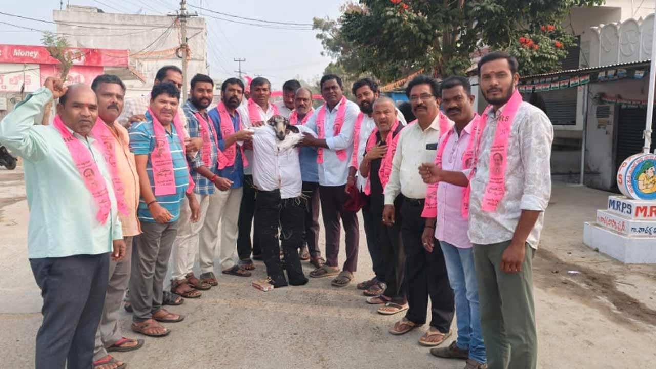 Ellareddypet | సిరిసిల్ల జిల్లాలో గొర్రె తల కాయతో బీఆర్‌ఎస్‌ వినూత్న నిరసన