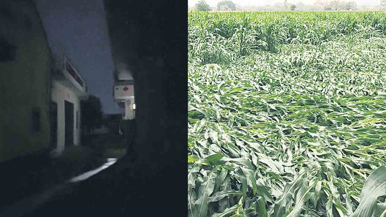 గాలివాన బీభత్సం.. ఈదురుగాలులతో కూడిన వర్షం