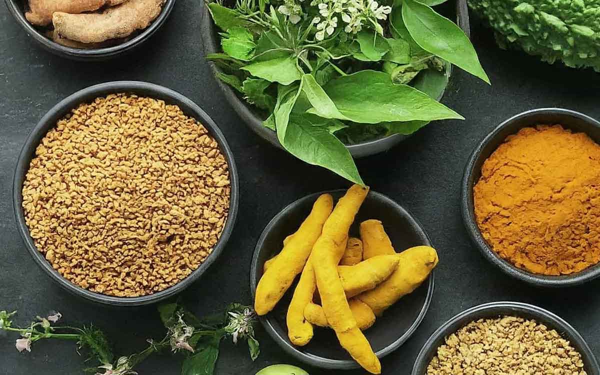 Herbs For Diabetics | డ‌యాబెటిస్ ఉన్న‌వారికి అద్భుతంగా ప‌నిచేసే మూలిక‌లు.. ఏమేం ఉన్నాయంటే..?