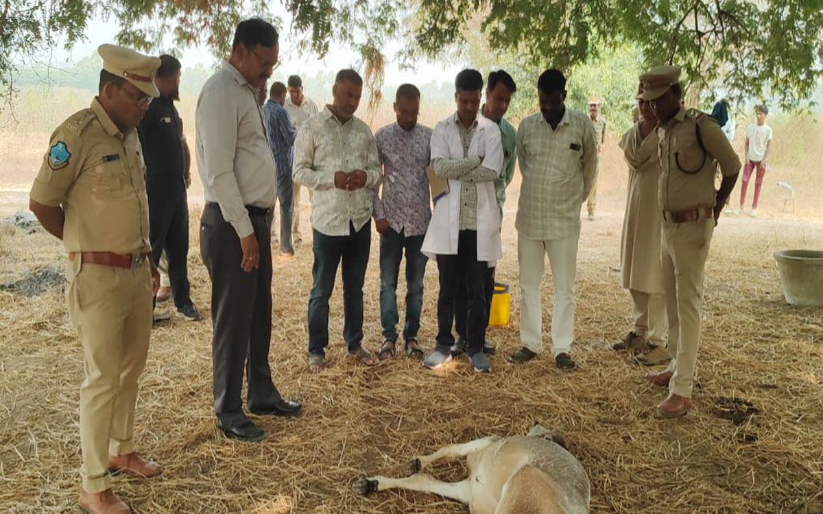 Tiger : ‘జనగామ జిల్లాలోకి పులి ప్ర‌వేశం’