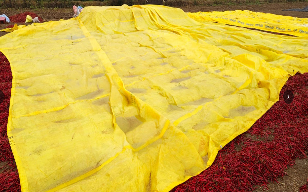 అకాల వర్షం.. కల్లాల్లోనే తడిసిన మిర్చి