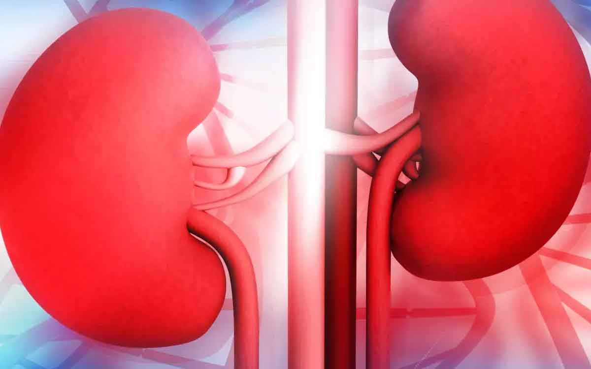 Habits That Damage Kidneys | ఈ అల‌వాట్లు మీకు ఉన్నాయా.. అయితే మీ కిడ్నీల ఆరోగ్యం దెబ్బ తింటుంది జాగ్ర‌త్త‌..!