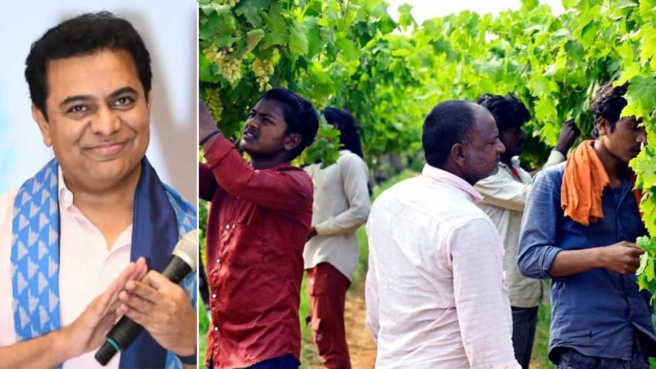 KTR | వలస కార్మికులను ఆదుకుంటున్న తెలంగాణ.. ఇదీ కేసీఆర్‌ వ్యవసాయ విప్లవ ఫలితం: కేటీఆర్‌