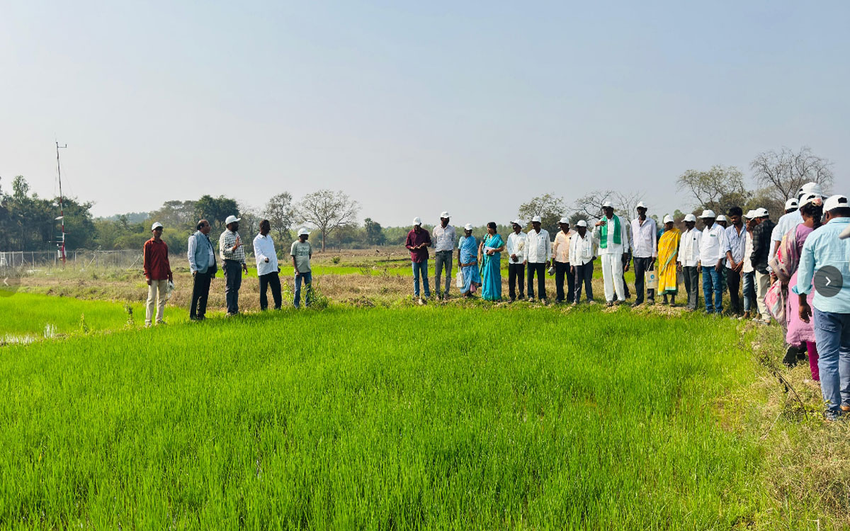 వరి వెదజల్లే పద్ధతులపై రైతులకు శిక్షణ