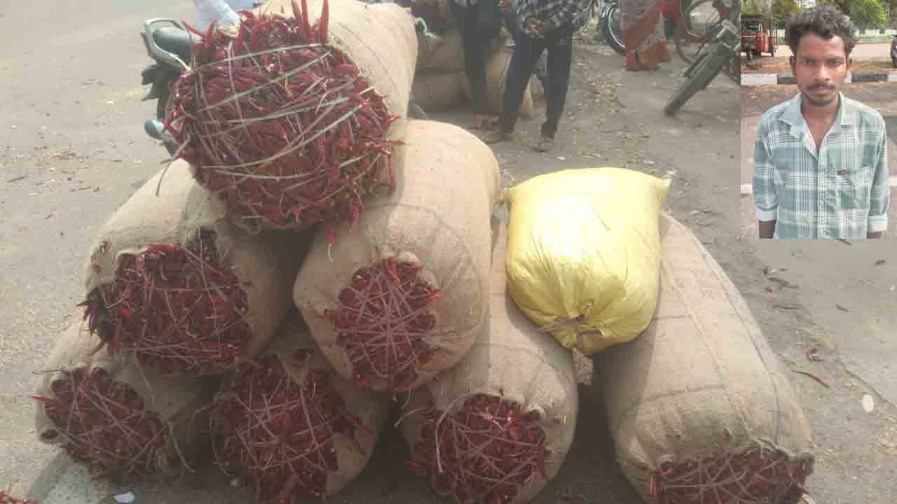 Warangal | వరంగల్‌ ఎనుమాముల మార్కెట్‌లో ఆల్‌ టైం రికార్డు స్థాయిలో అమ్ముడైన మిర్చి.. ! ధర ఎంతంటే..?