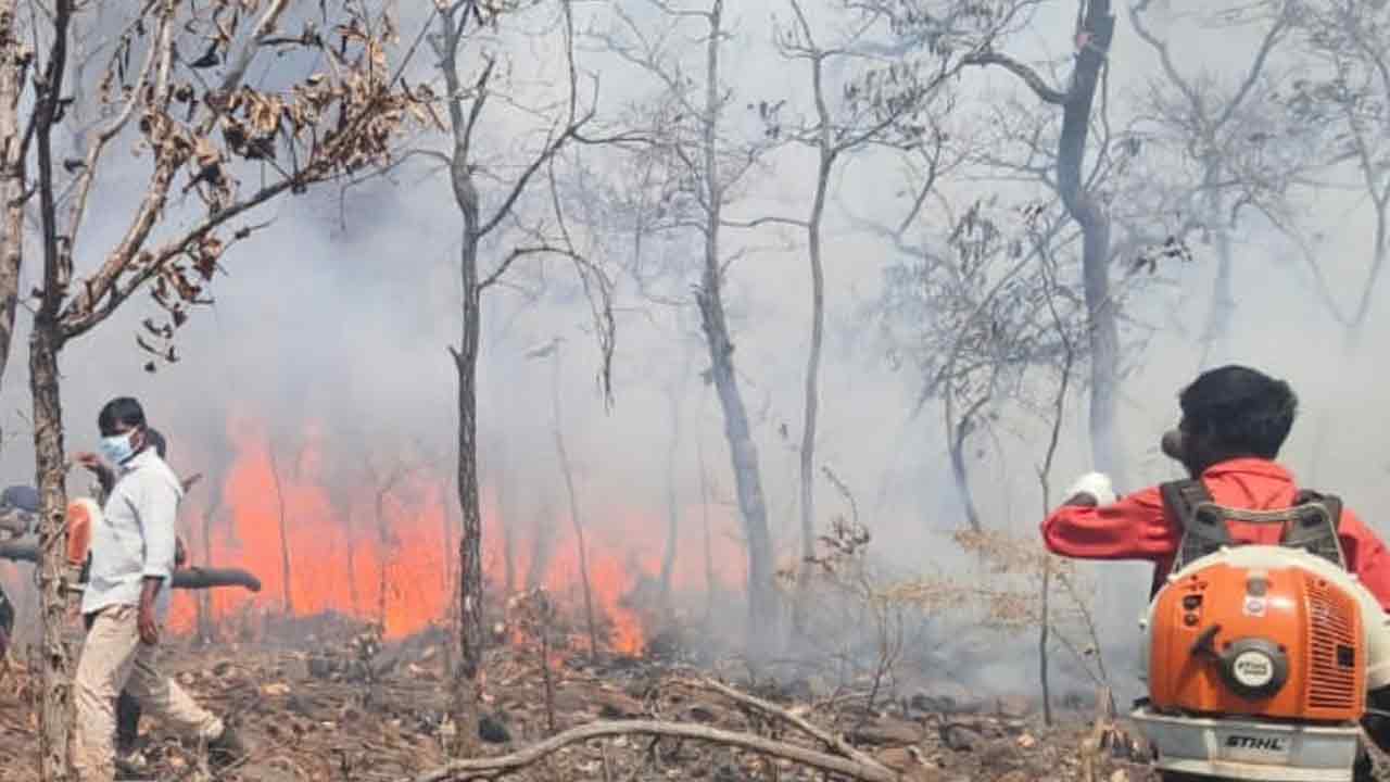 Nallamala forest | నల్లమలలో కార్చిచ్చు..రెండు రోజులుగా ఎగిసి పడుతున్న మంటలు