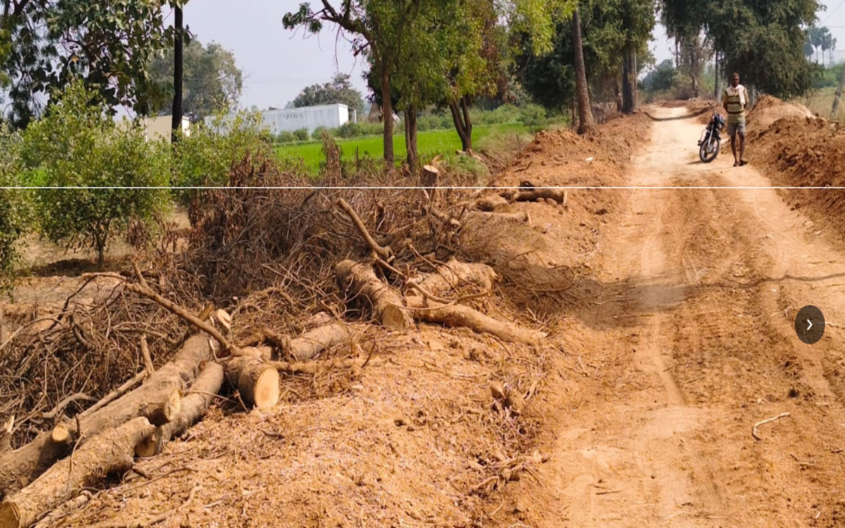 Cutting down trees : లక్షల వృక్ష సంపద బొగ్గు పాలు !