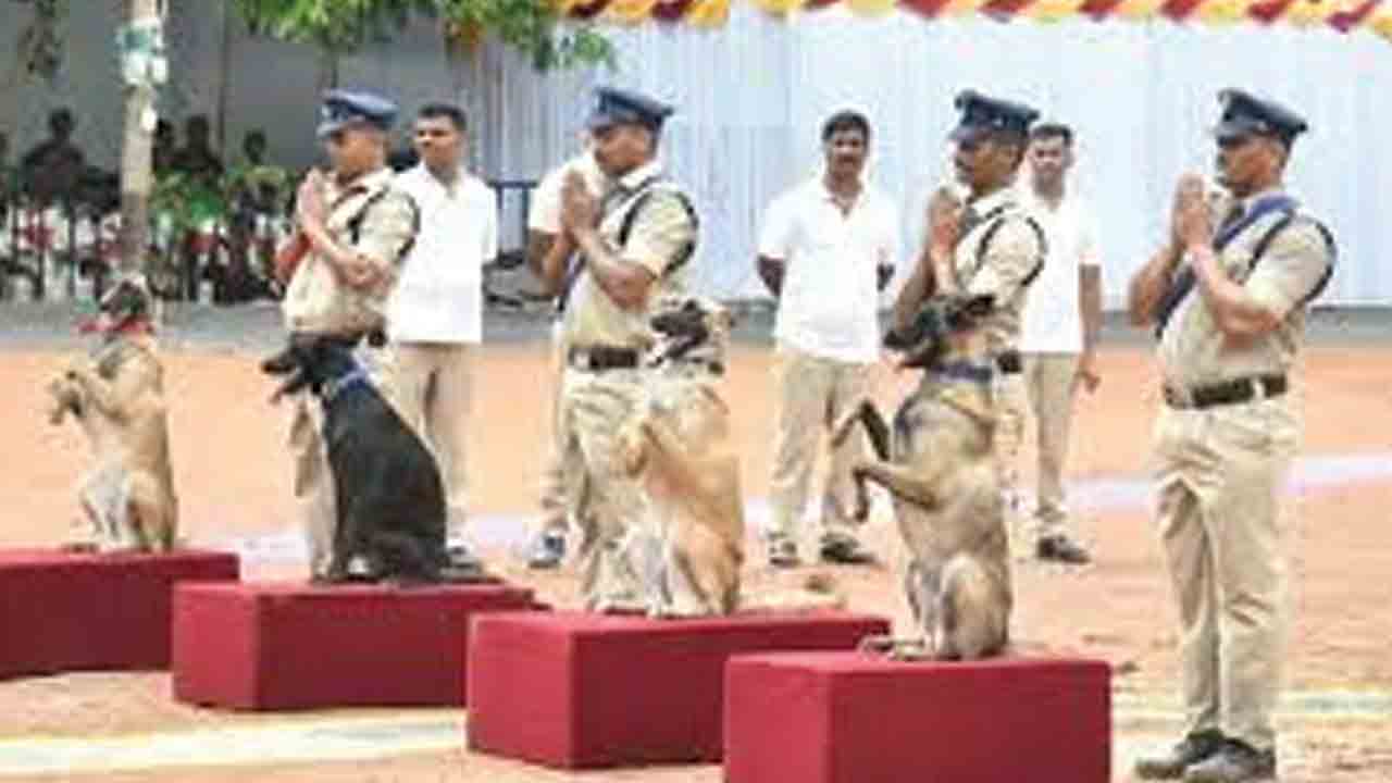 నేడు జాగిలాల పాసింగ్‌ అవుట్‌ పరేడ్‌