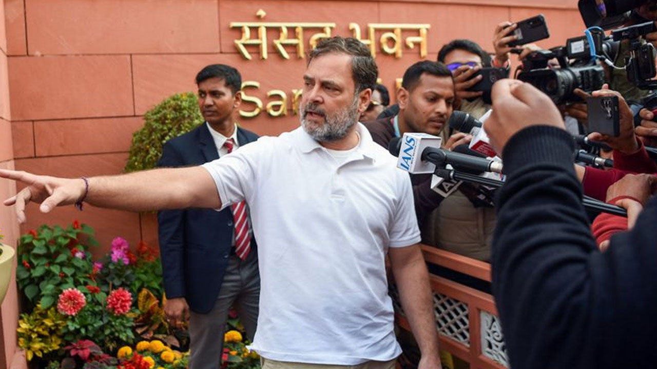 Rahul Gandhi: న‌ర‌వ‌ణే అబ‌ద్ధం చెబుతున్నారా?..  పెంగ్విన్ అబ‌ద్దం చెబుతుందా?