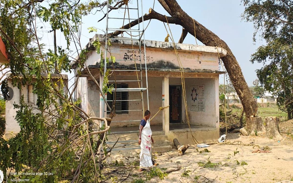 స్కూల్ బిల్డింగ్‌పై పడిపోయిన భారీ వృక్షం