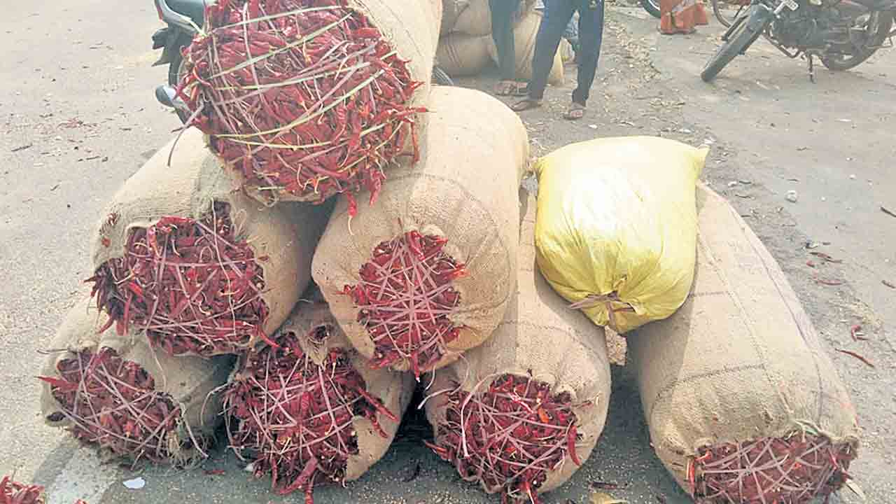 వండర్‌హాట్‌ మిర్చికి రికార్డు ధర