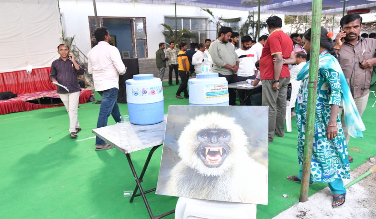 Sircilla | సిరిసిల్ల కౌంటింగ్ కేంద్రానికి కొండెంగ కాపలా