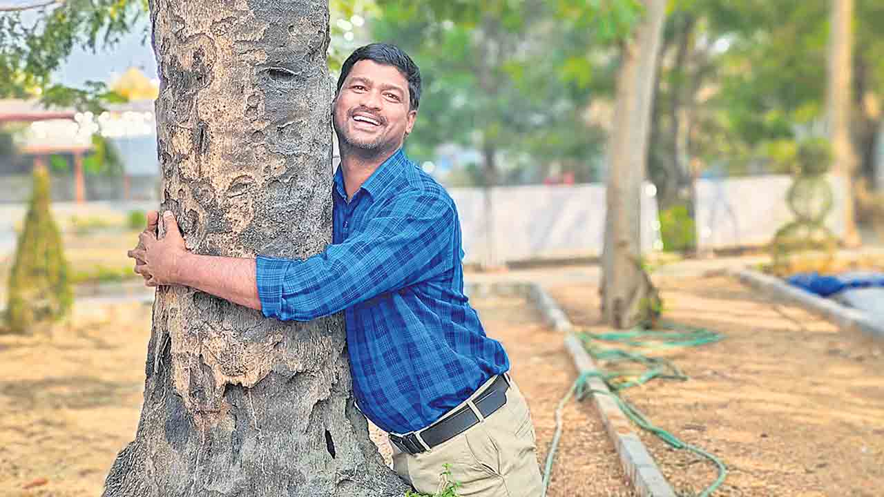 అతను అడవులు సృష్టిస్తున్నాడు