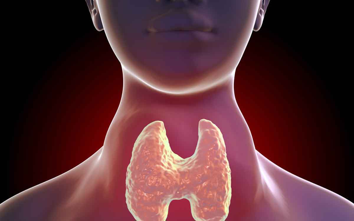 Thyroid Tablets | ట్యాబ్లెట్ల‌ను వాడుతున్నా కూడా.. థైరాయిడ్ అదుపులోకి రావ‌డం లేదంటే కారణాలు ఇవే..!