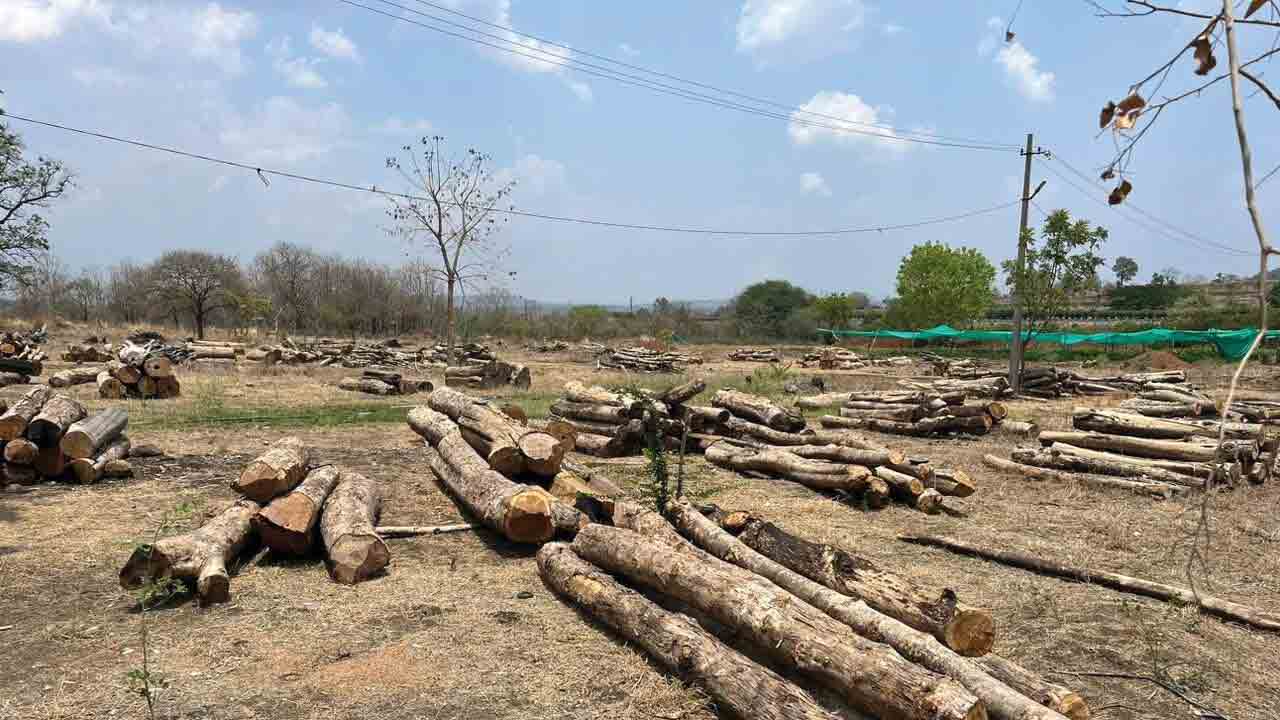 కలప స్వాధీనం