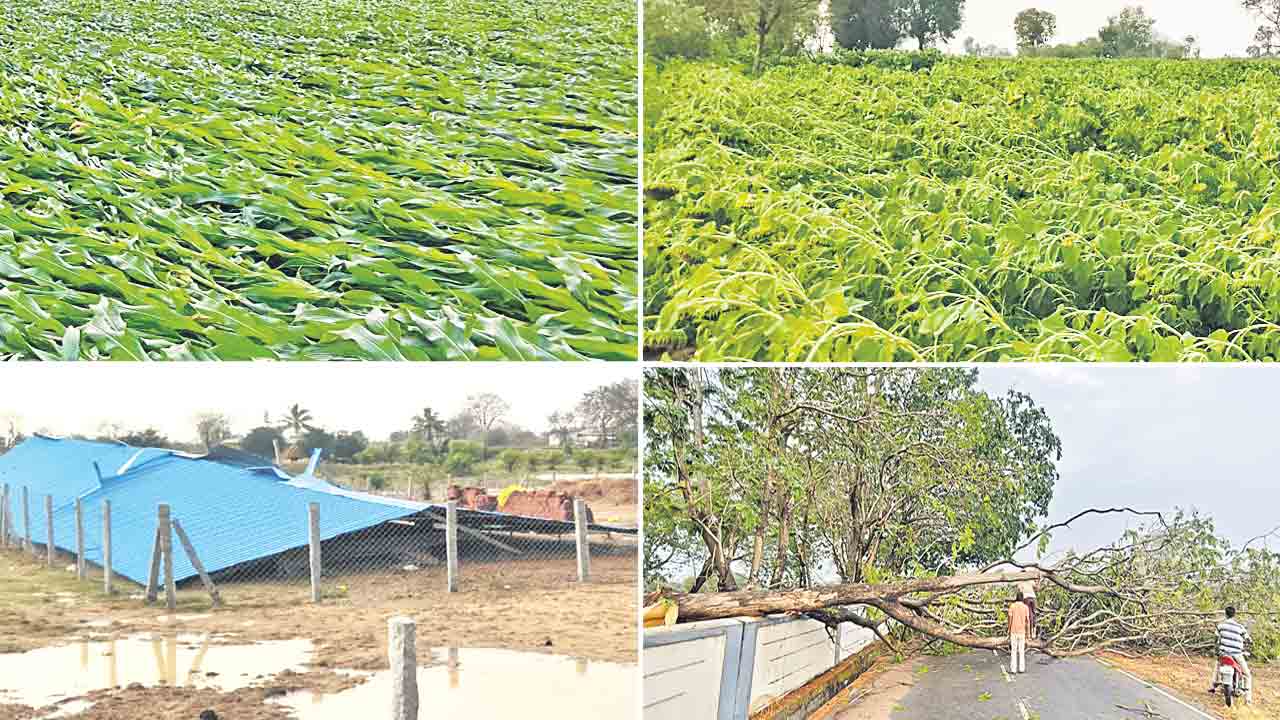 అకాల వర్షం.. అపార నష్టం