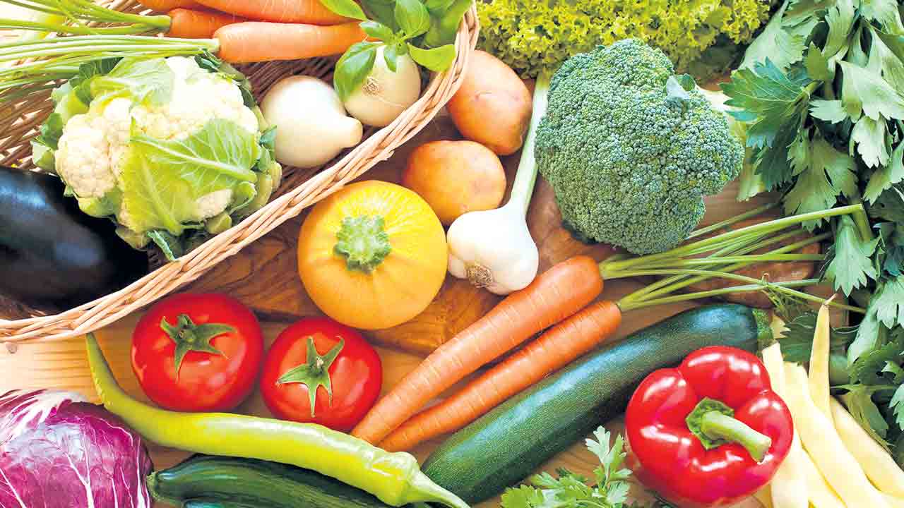 వేసవిలో కూరగాయల సాగుకు ఫిబ్రవరి అనుకూలం