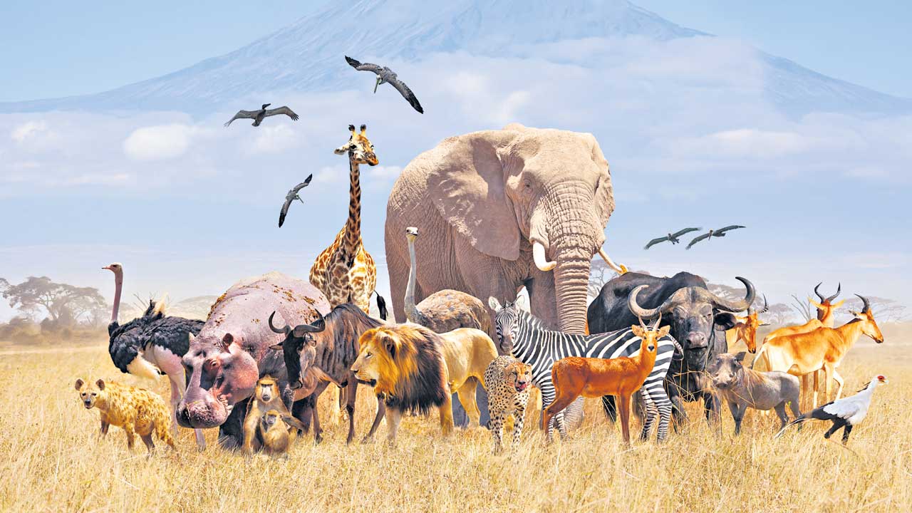 నేను సైతం.. ప్రకృతి పరిరక్షణకు..