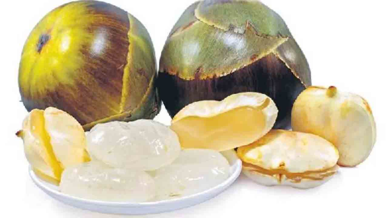 పొట్టులోనే పుట్టెడు