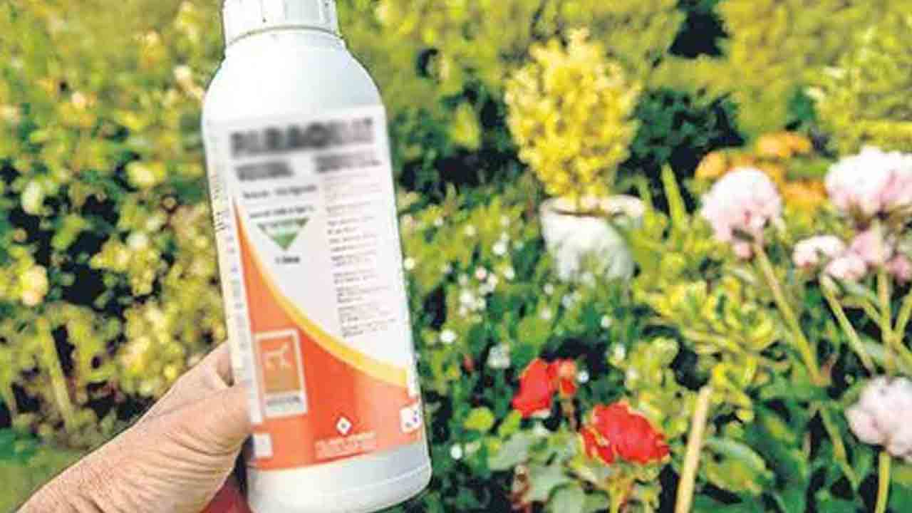 లక్ష్మీపూర్‌లో గడ్డిమందు నిషేధం