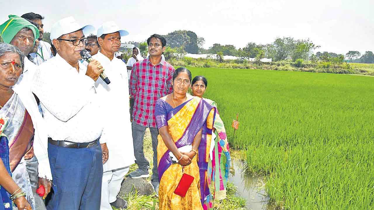 ఆరోగ్యకర ఉత్పత్తులు పండించాలి: అల్దాస్‌ జానయ్య